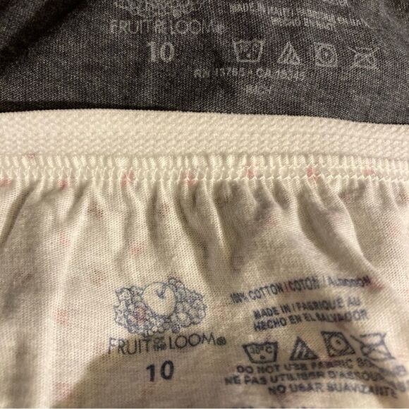 New Underwear Women’s Size 10, 3 Fruit of Loom 1 Hanes New Without Tags Painties - Picture 6 of 6